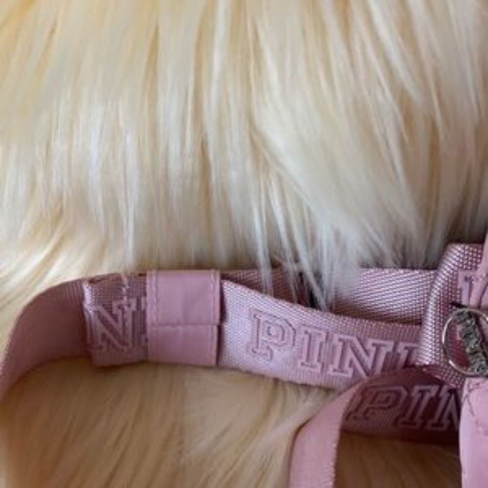 Pink Victoria's Secret Hip Bag - Picture 4 of 11